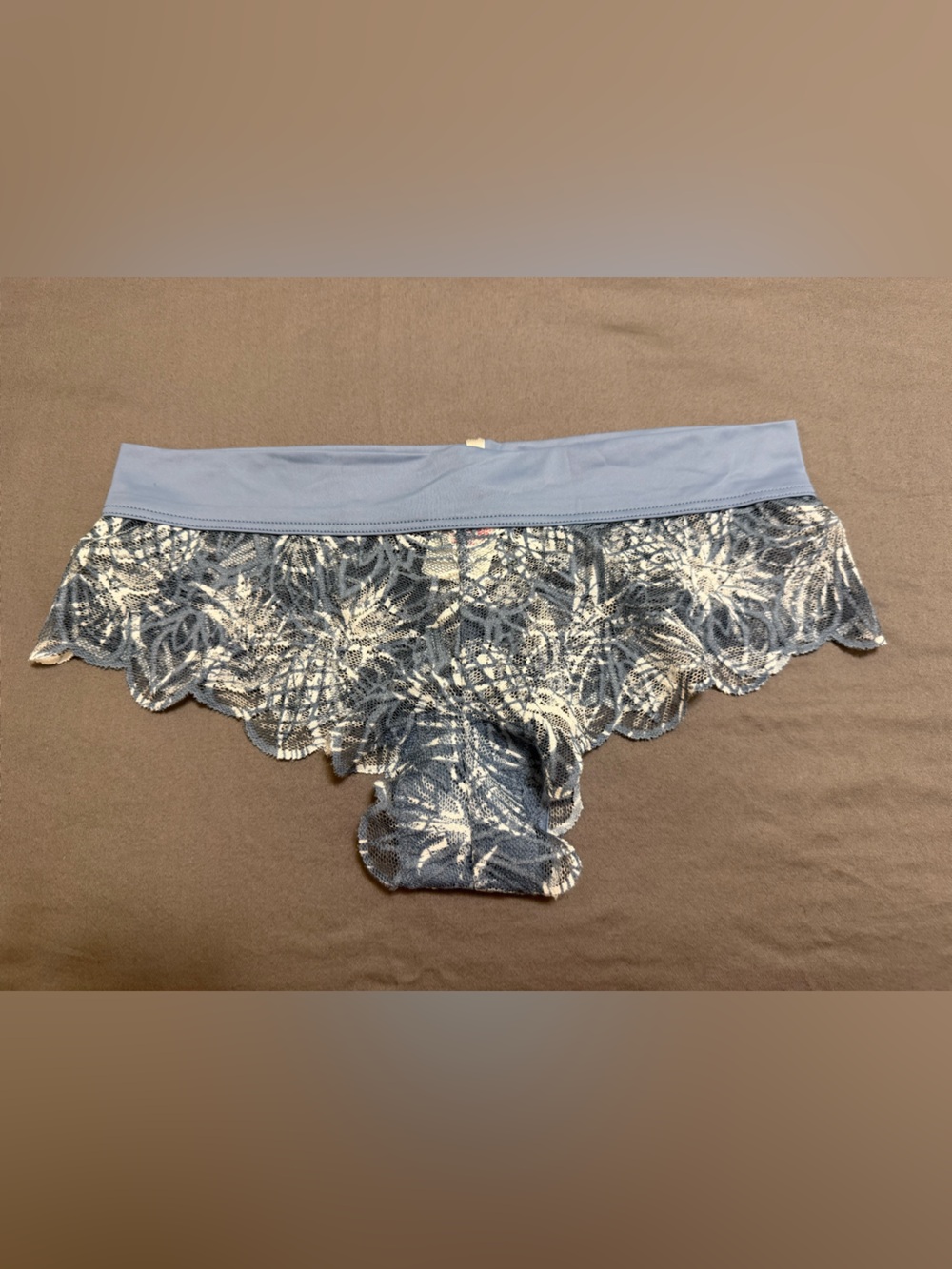 Victoria's Secret Blue Lace Floral Hipster Panty